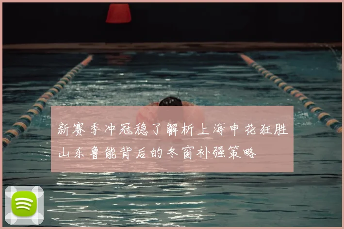 新赛季冲冠稳了解析上海申花狂胜山东鲁能背后的冬窗补强策略